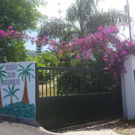 Finca Las Palmeras Icod De Los Vinos Luaran gambar
