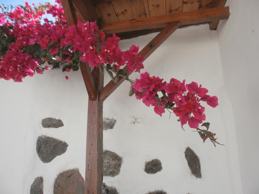 Finca Las Palmeras Icod De Los Vinos Luaran gambar