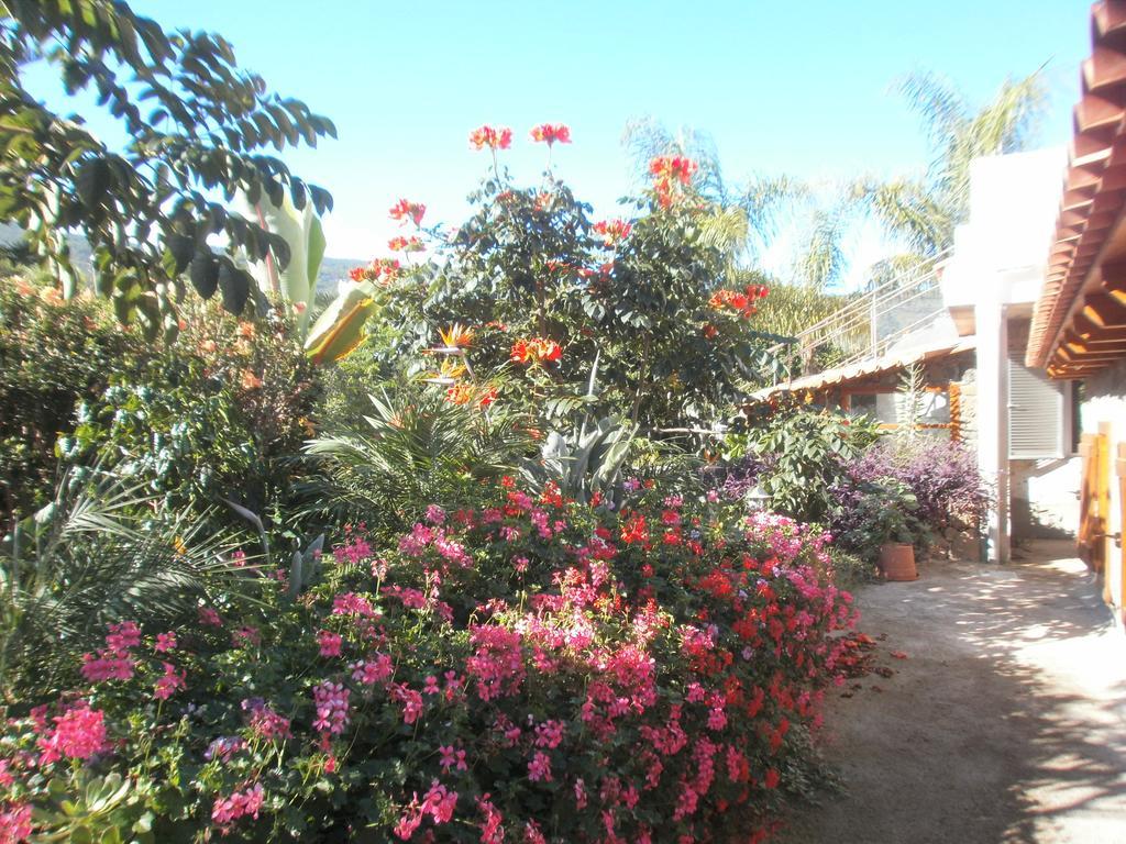Finca Las Palmeras Icod De Los Vinos Bilik gambar