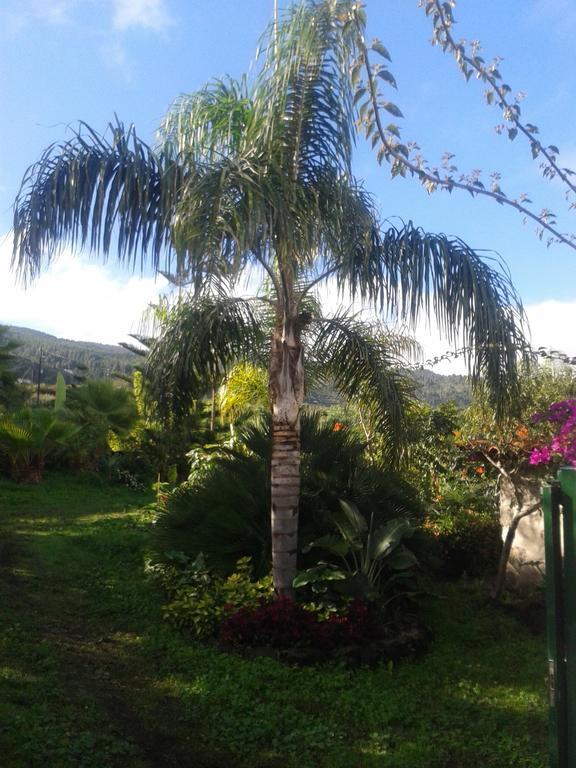 Finca Las Palmeras Icod De Los Vinos Bilik gambar