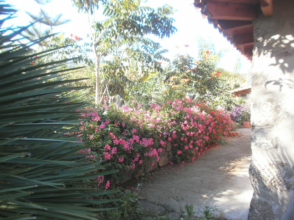 Finca Las Palmeras Icod De Los Vinos Luaran gambar