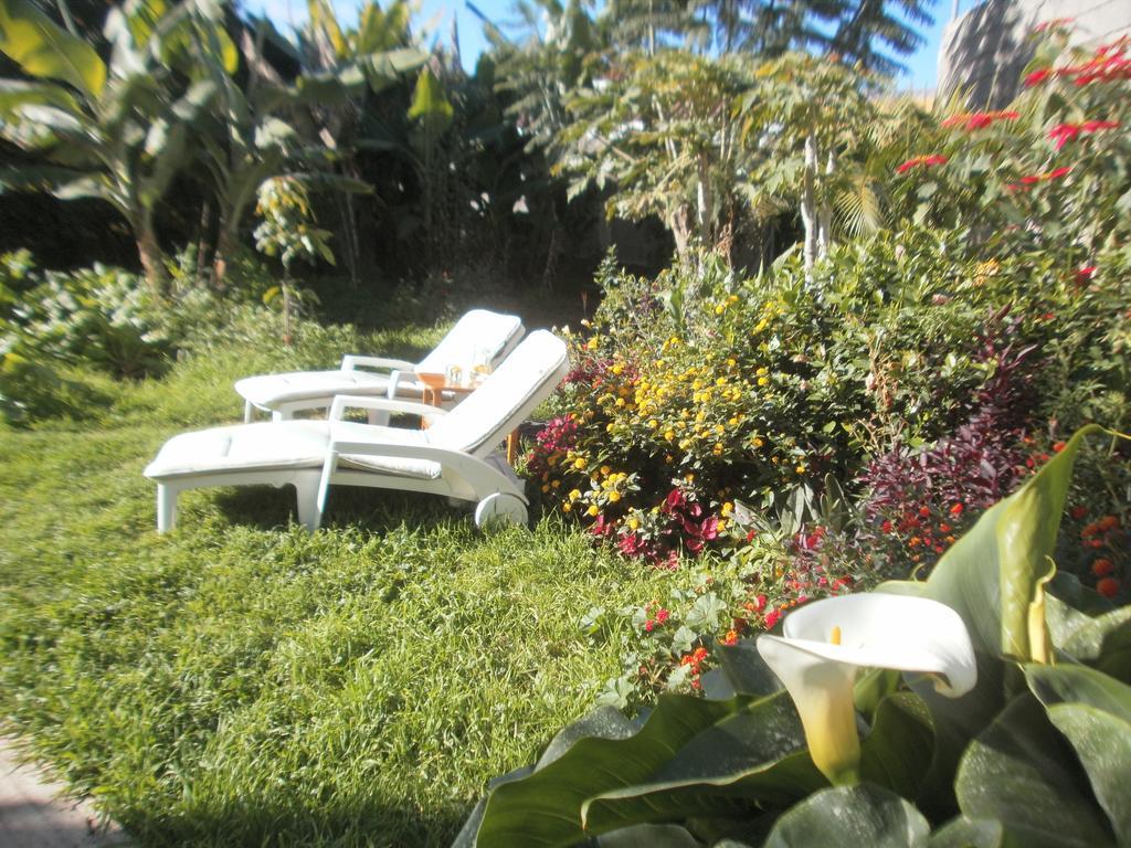 Finca Las Palmeras Icod De Los Vinos Bilik gambar