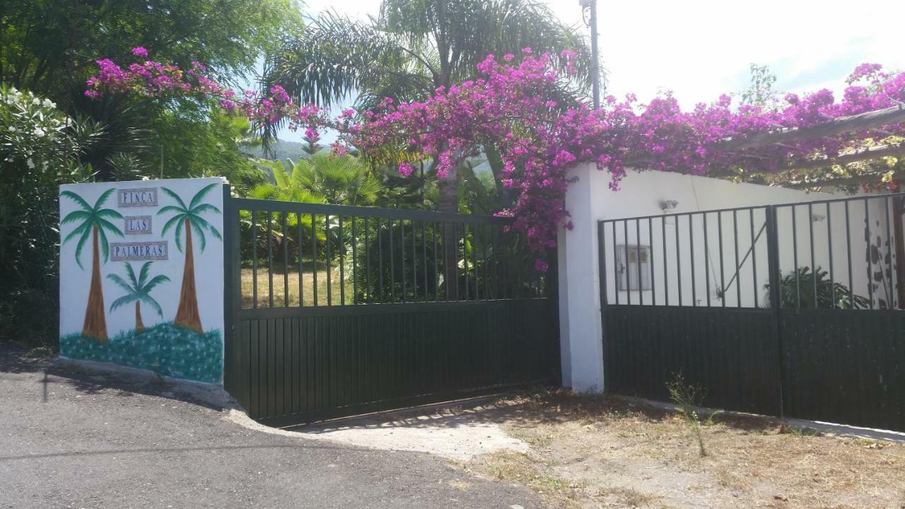 Finca Las Palmeras Icod De Los Vinos Luaran gambar