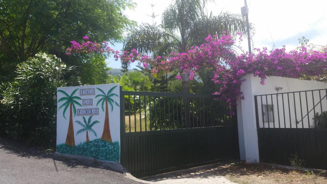 Finca Las Palmeras Icod De Los Vinos Luaran gambar